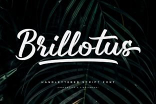 Brillotus Font: Authentic Handwritten Style for Digital Campaigns