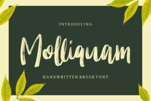 Elevate Your Brand with Molliquam: A Charming Handwritten Font