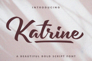 Katrine Font: Elevating Digital Brand Identity