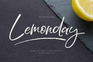 Lemonday: A Designer’s Review for Real Projects
