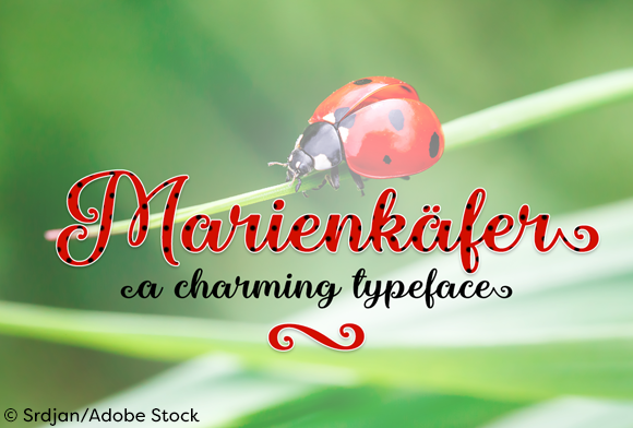 Marienkaefer Font: Elegant Script for Handmade Labels