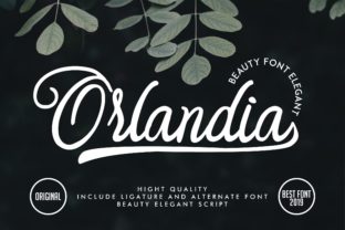Orlandia Font Review: A Handwritten Typeface for Campaigns