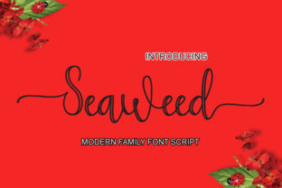 Seaweed Font: Handwritten Charm for Web Design