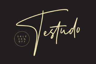 Testudo Font: Elevating Editorial Design